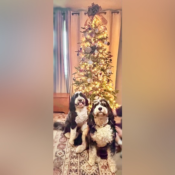 Meet your Posher, Mel - Picture 7 of 7